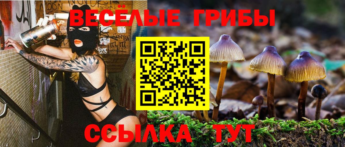 где можно купить   Вход с VPN  Псилоцибиновые грибы ЛСД  Канаш  Псилоцибиновые грибы Psilocybine cubensis 