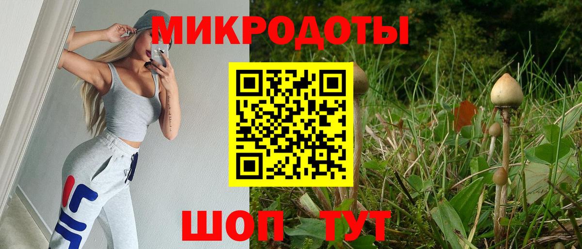 Галлюциногенные грибы прущие грибы Канаш